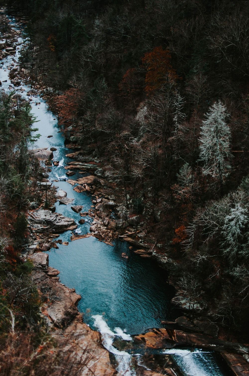 A river winds through a forest in Georgia. - River