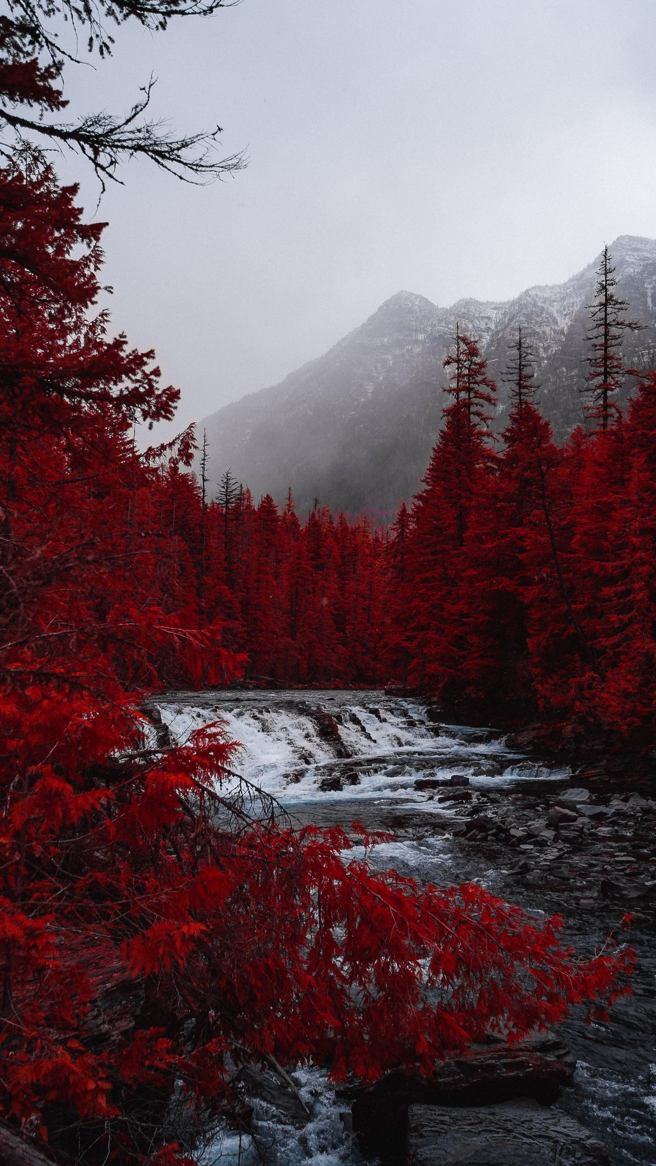 Download wallpaper 1350x2400 river, trees, red, mountains, fog, landscape iphone 8+/7+/6s+/for parallax HD background