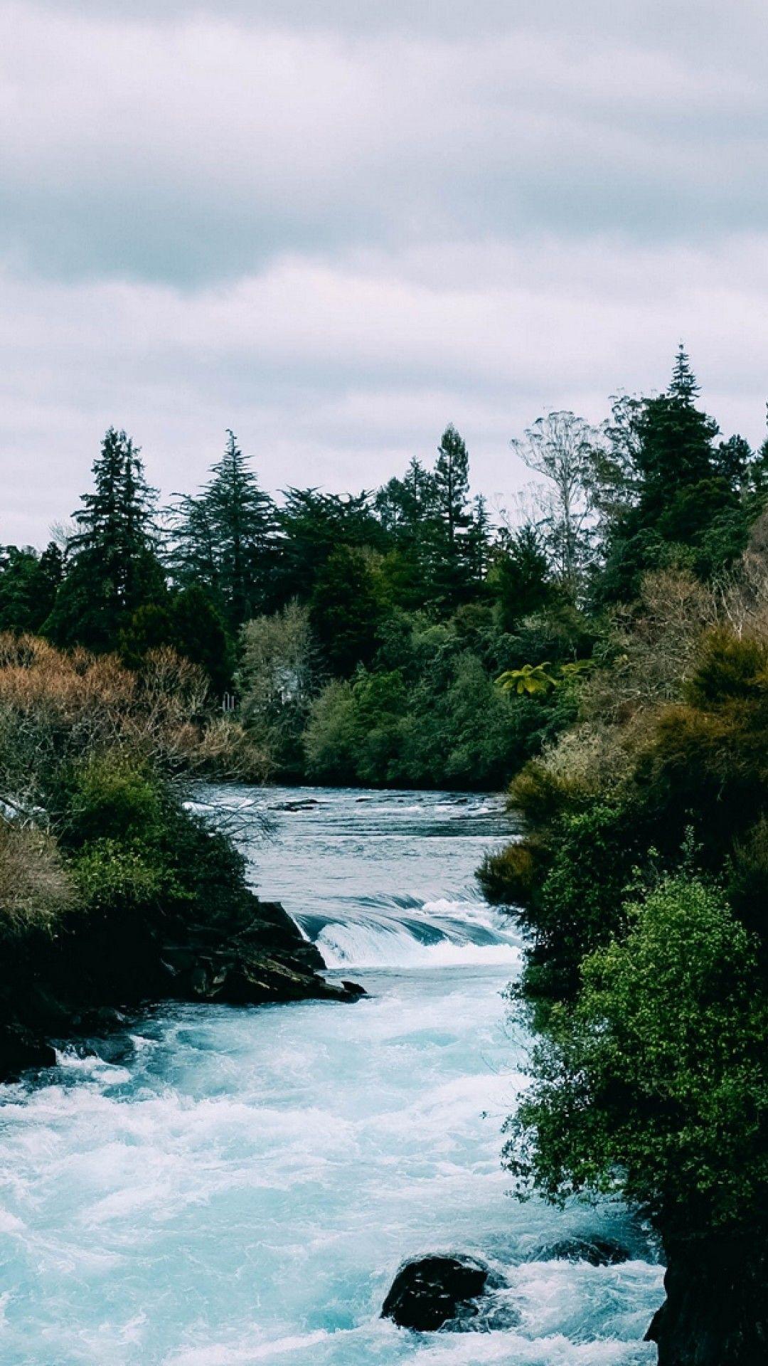 A river surrounded by trees - River