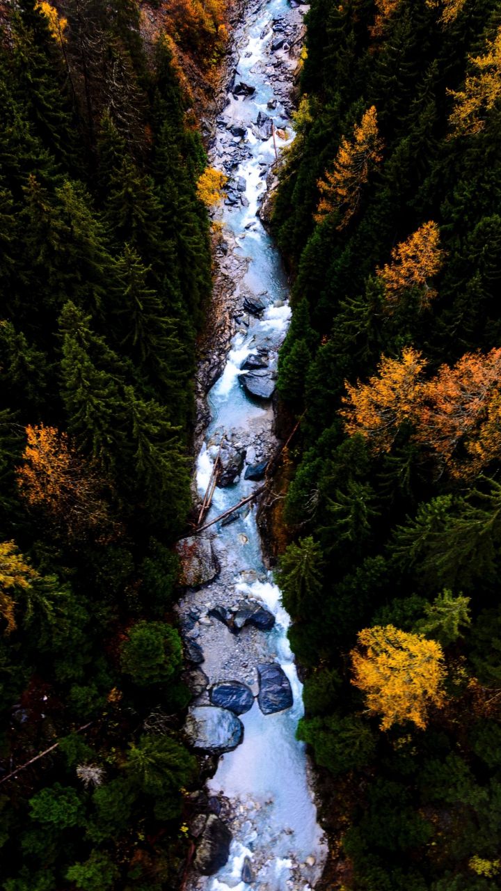 Download wallpaper 720x1280 river, forest, flow, aerial view, samsung galaxy mini s s neo, alpha, sony xperia compact z z z asus zenfone, 720x1280 HD background, 6963