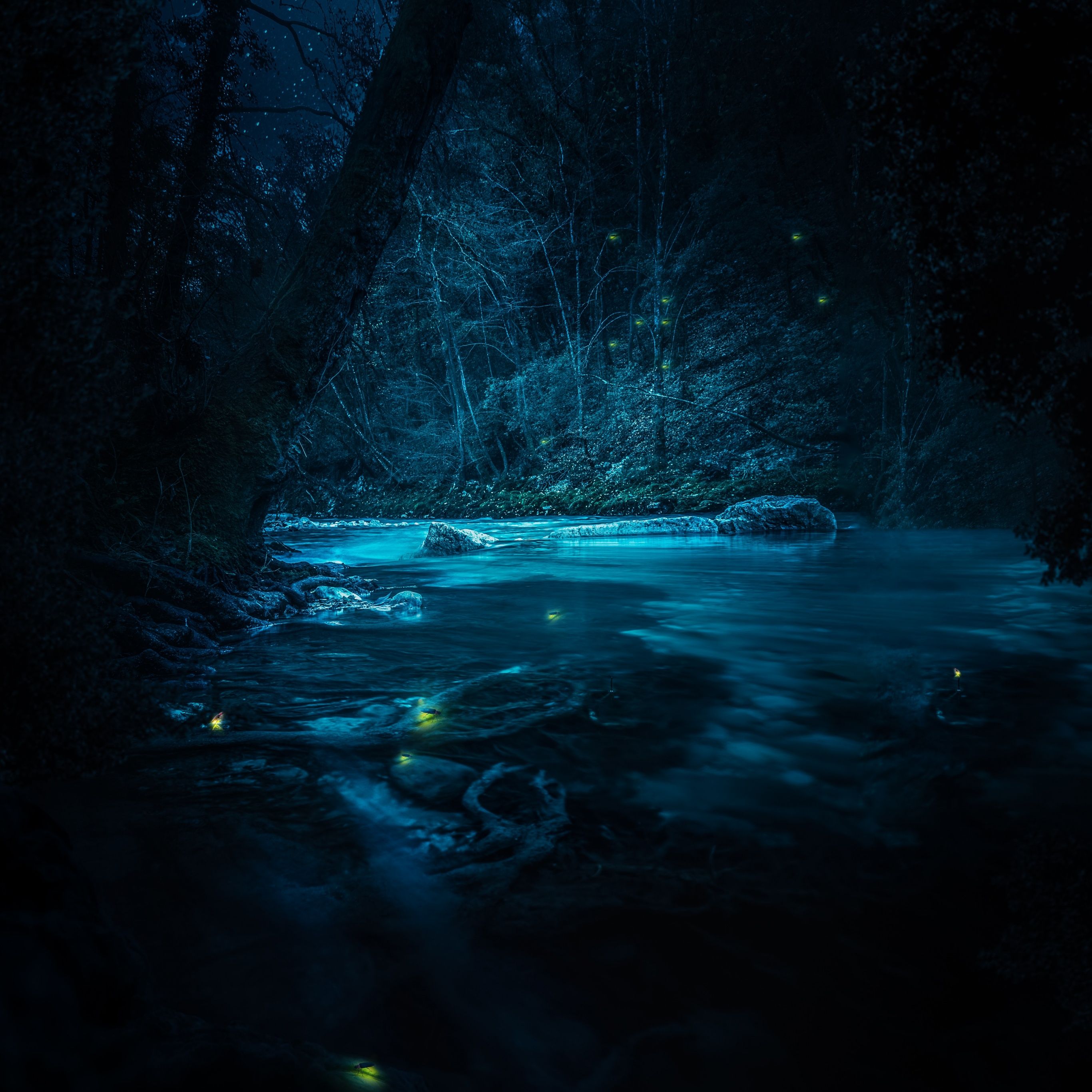 A river flows through a dark forest, illuminated by a blue light. - River