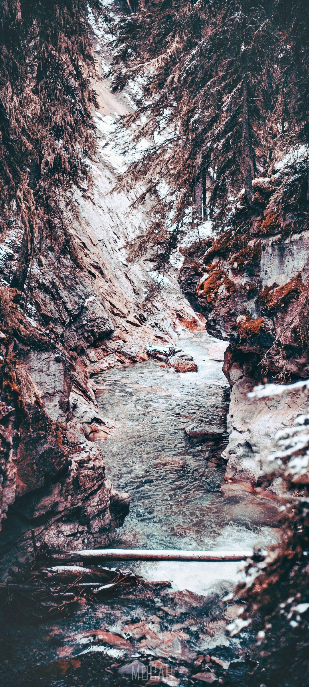 IPhone wallpaper of a river running through a forest in winter - River