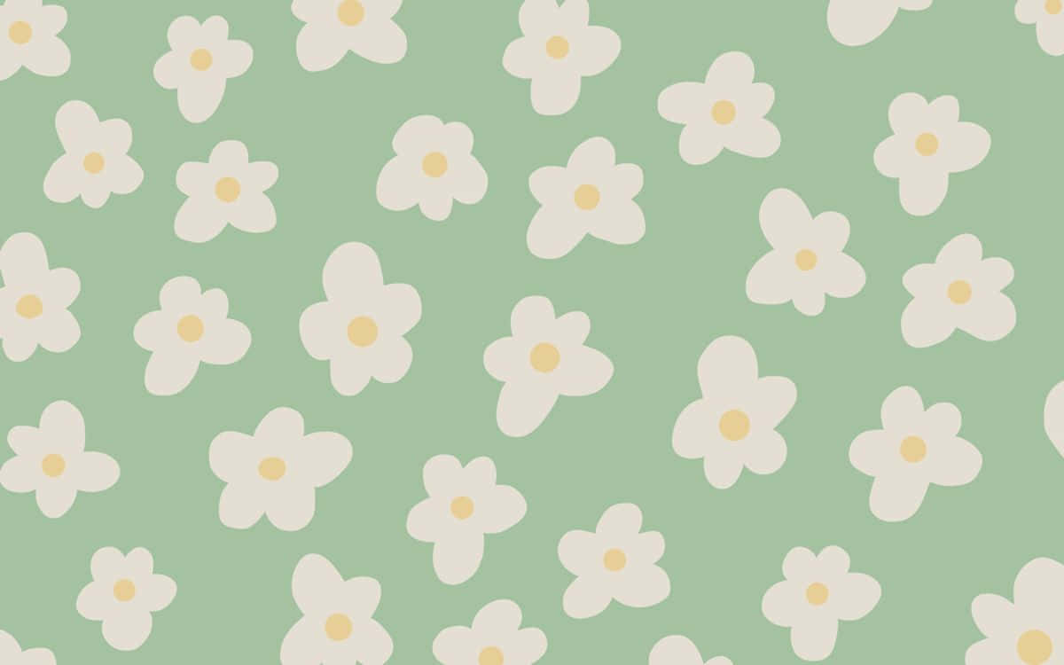 A pattern of white flowers on a green background - Mint green
