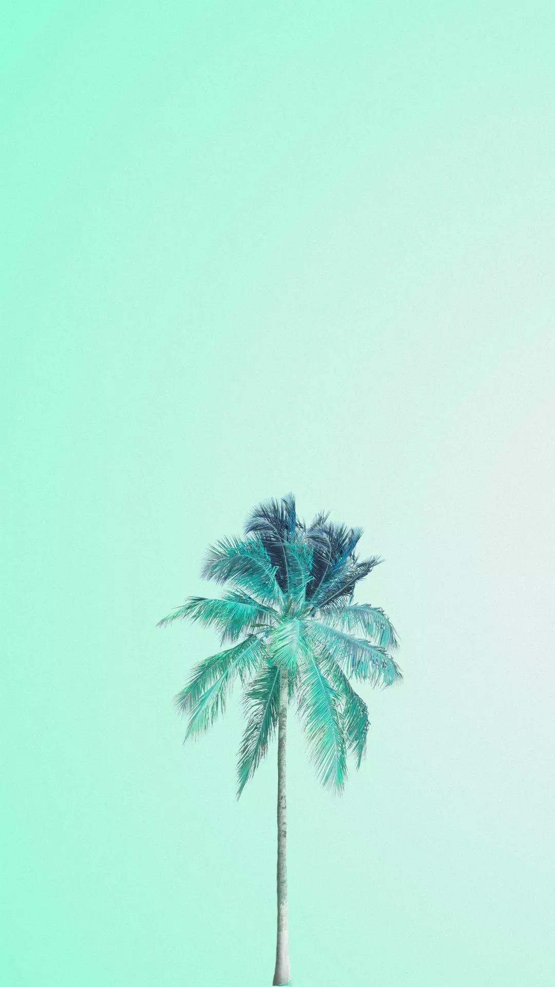 Aesthetic iPhone wallpaper with a palm tree on a blue background - Mint green