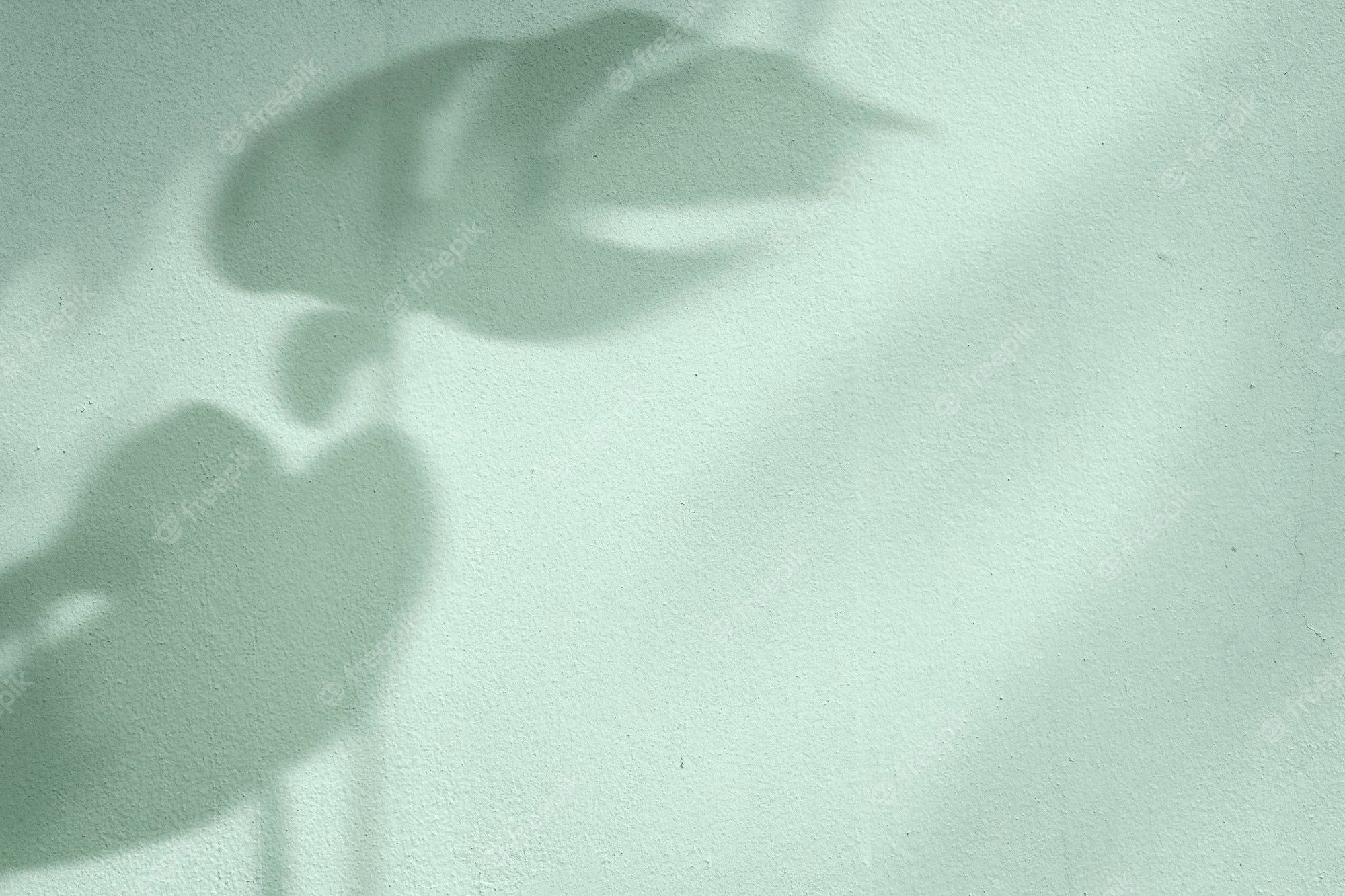 Shadow of monstera leaves on a white wall. Green Aesthetic Image - Mint green