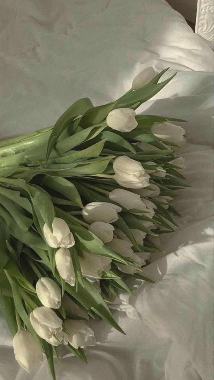 White tulips on a bed - Mint green