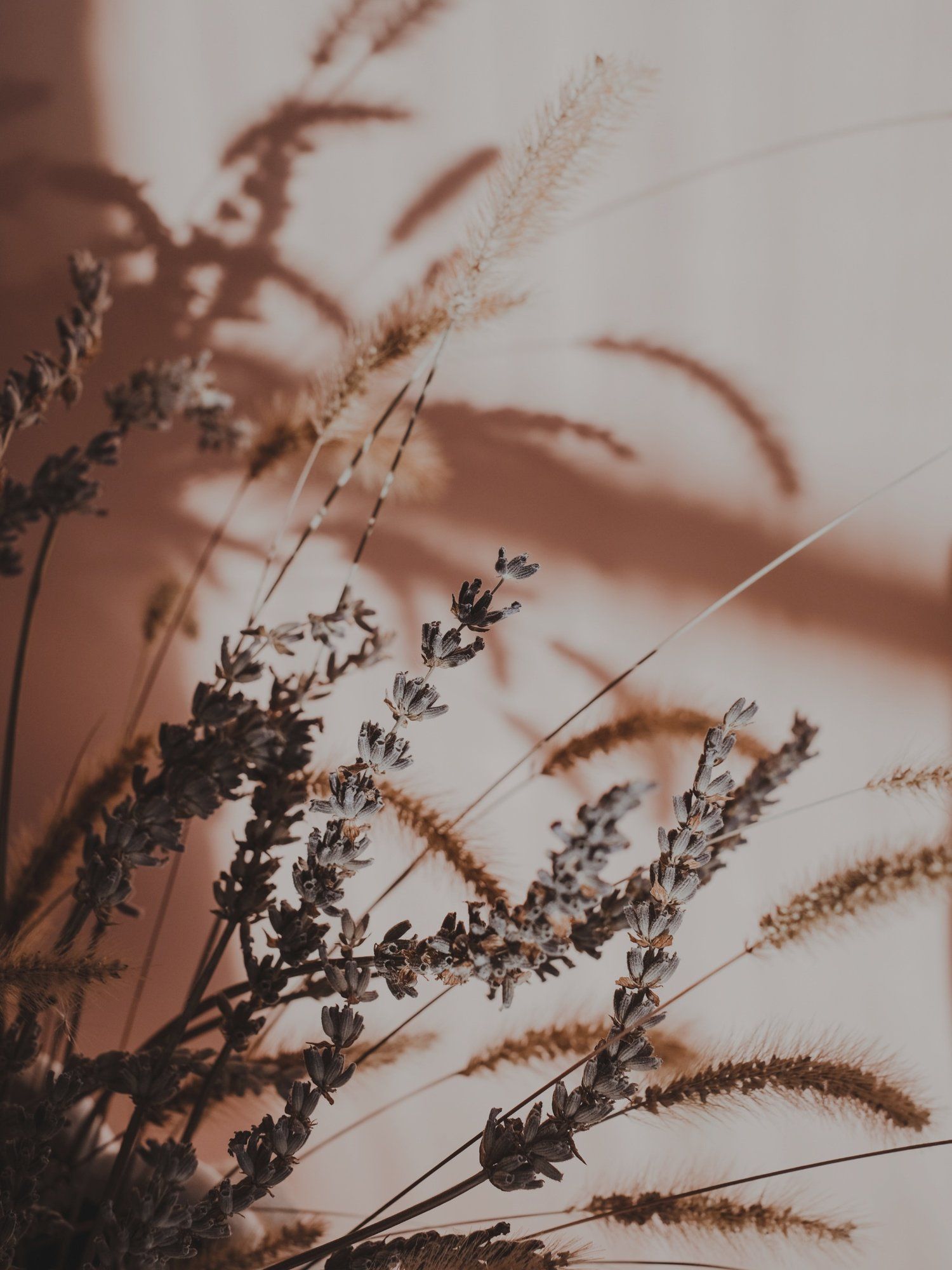 A bunch of dried flowers in a vase - Mental health