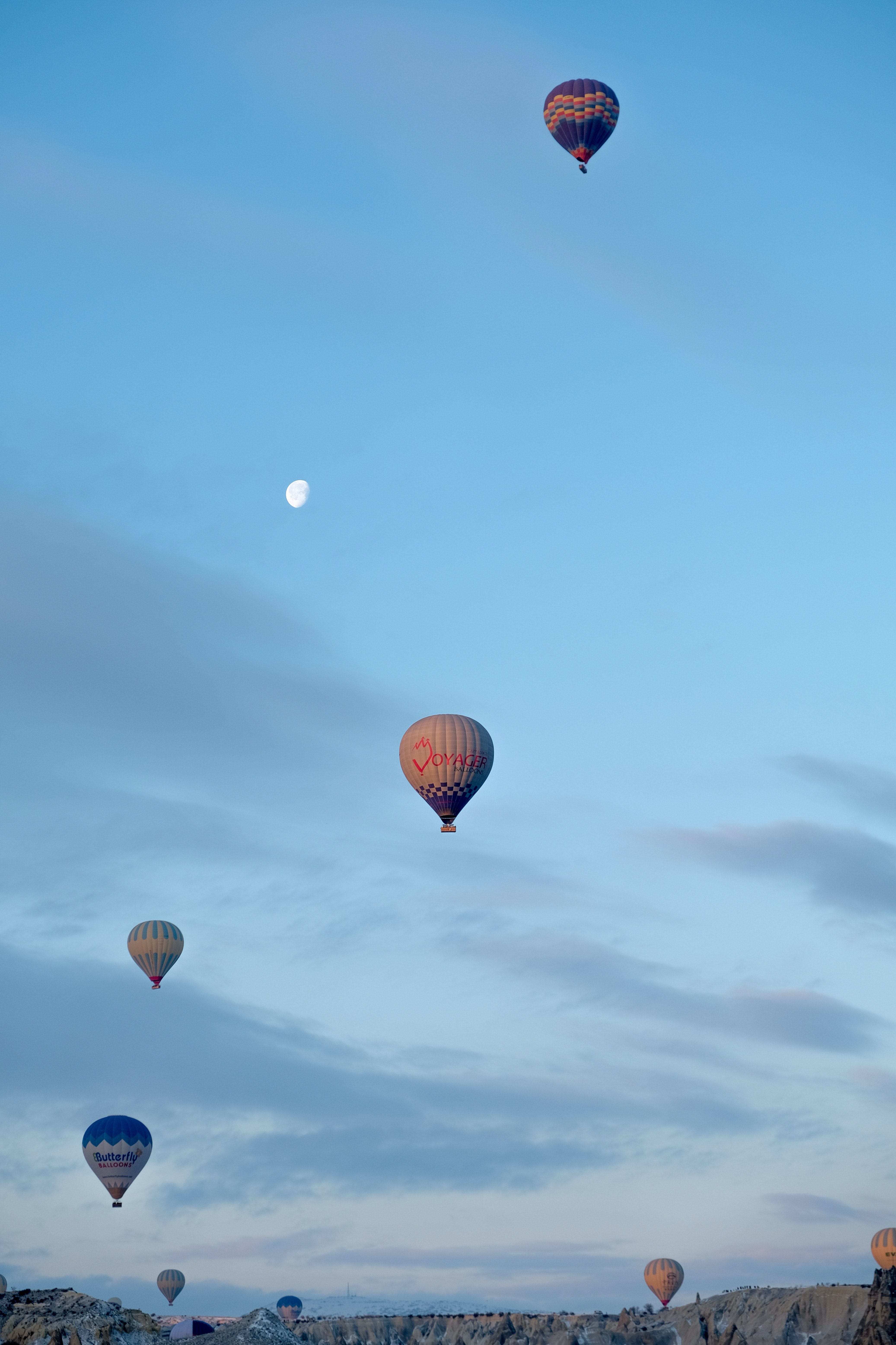 Hot Air Balloons in the Sky · Free