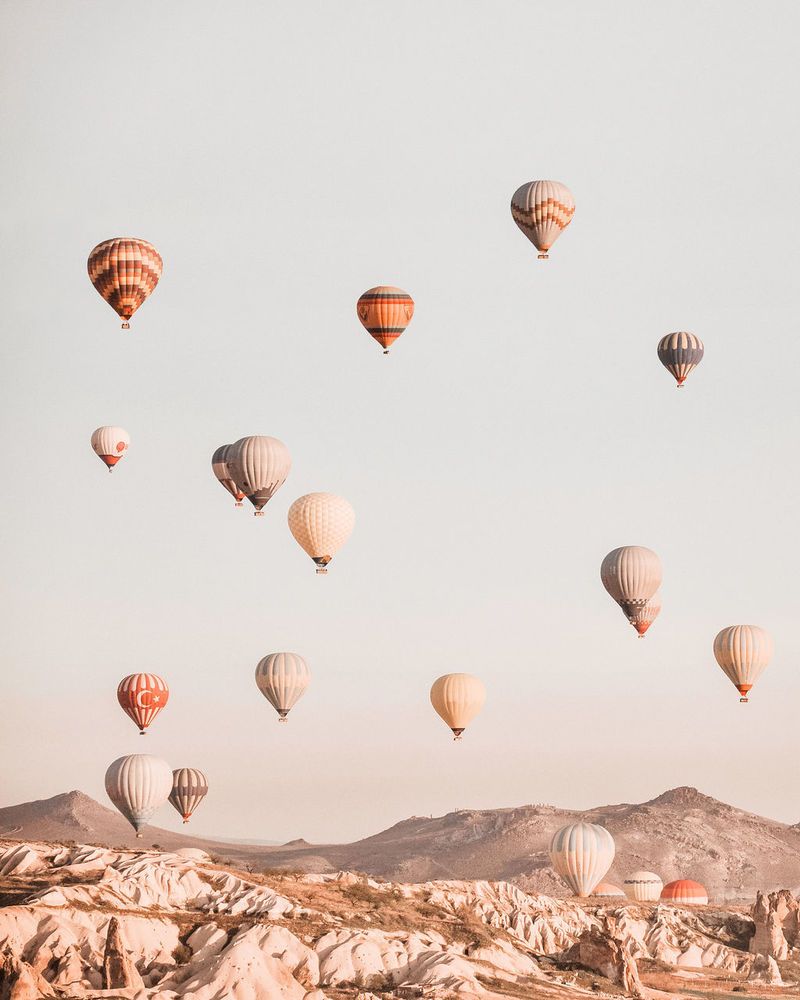 Hot air balloons flying over landscape