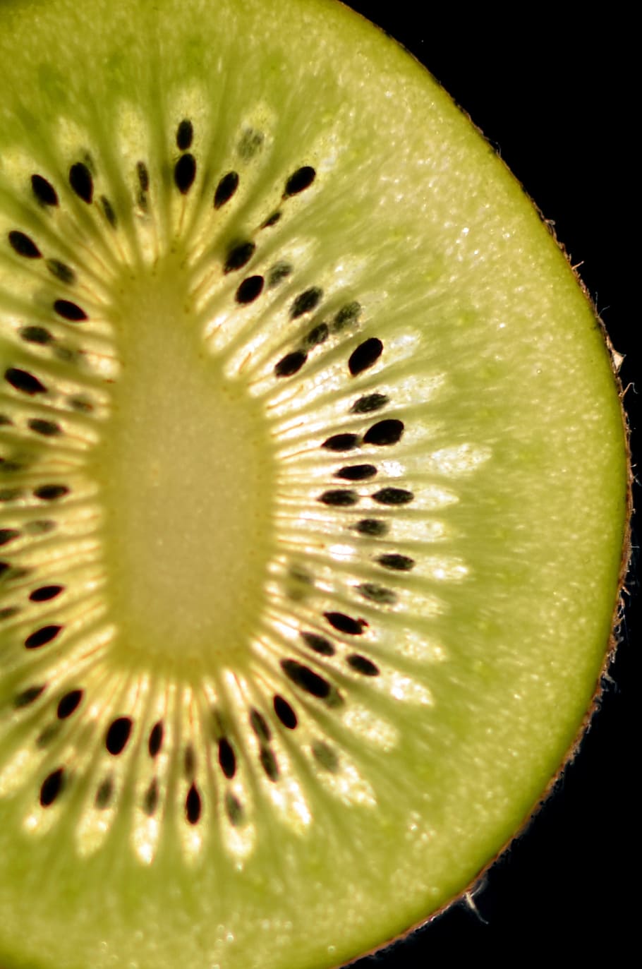 A close up of a kiwi fruit cut in half. - Kiwi