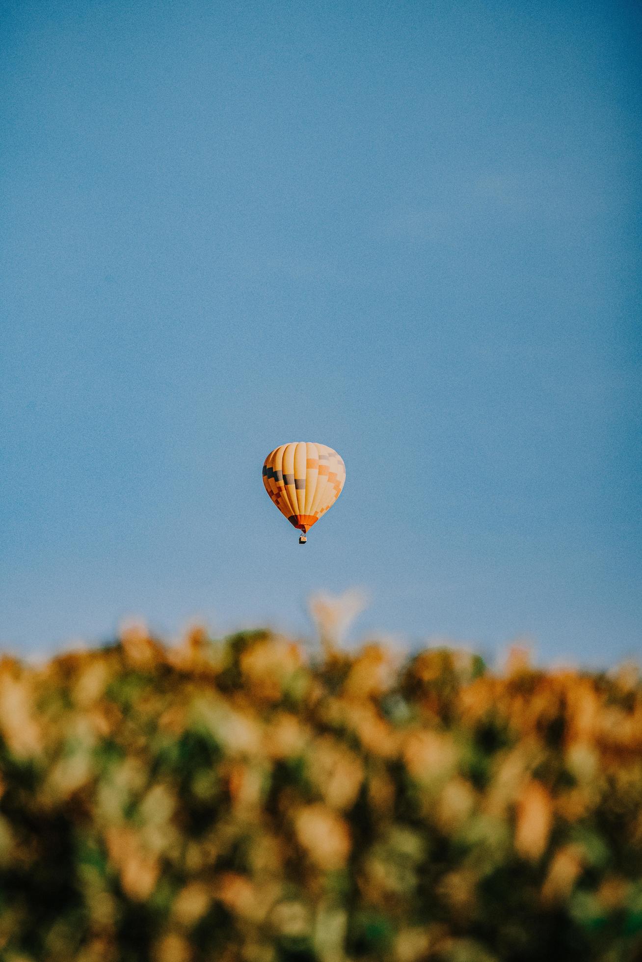 A hot air balloon floating in the sky above a field of flowers - Hot air balloons