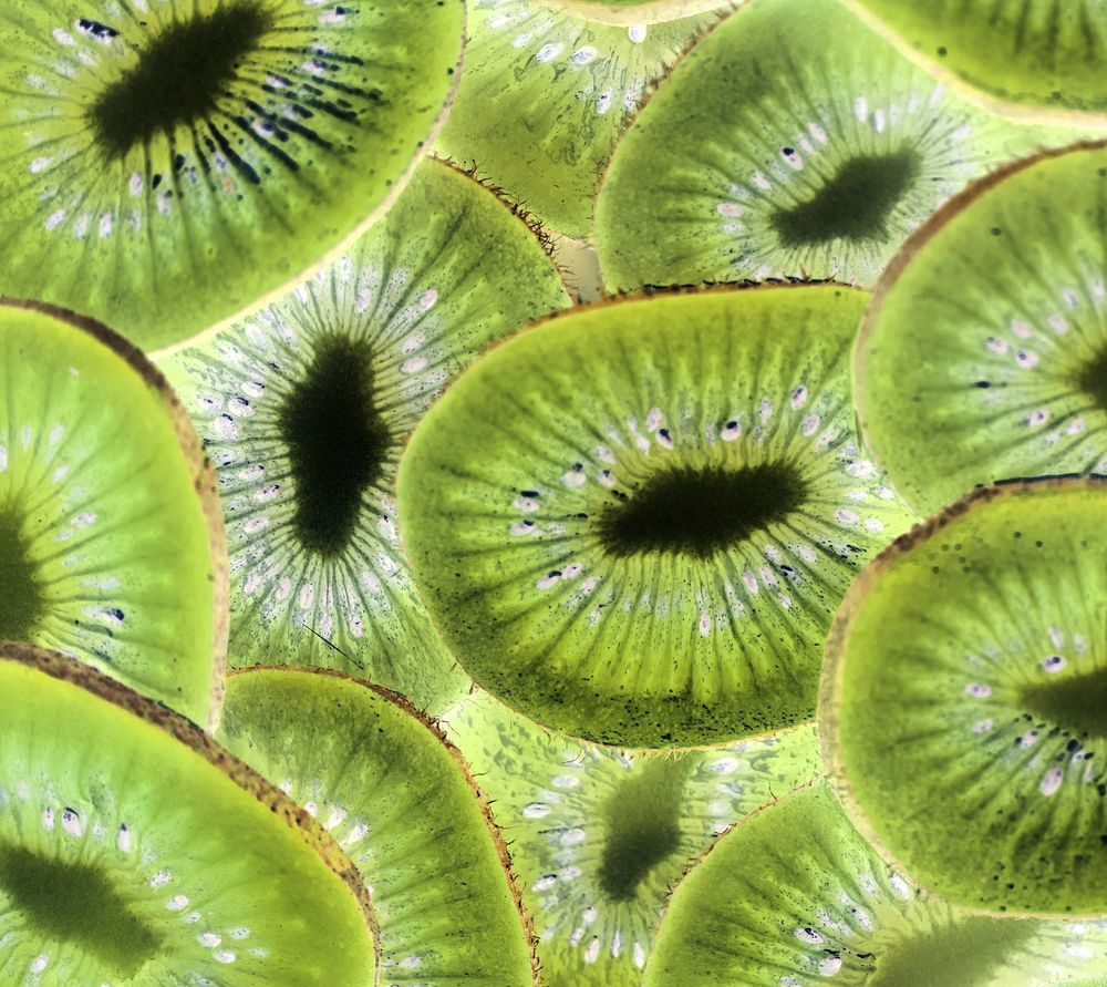 A close up of kiwi slices - Kiwi