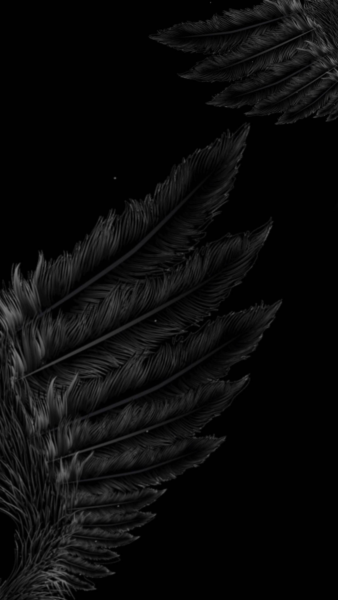 A close-up of black feathers against a black background - Wings
