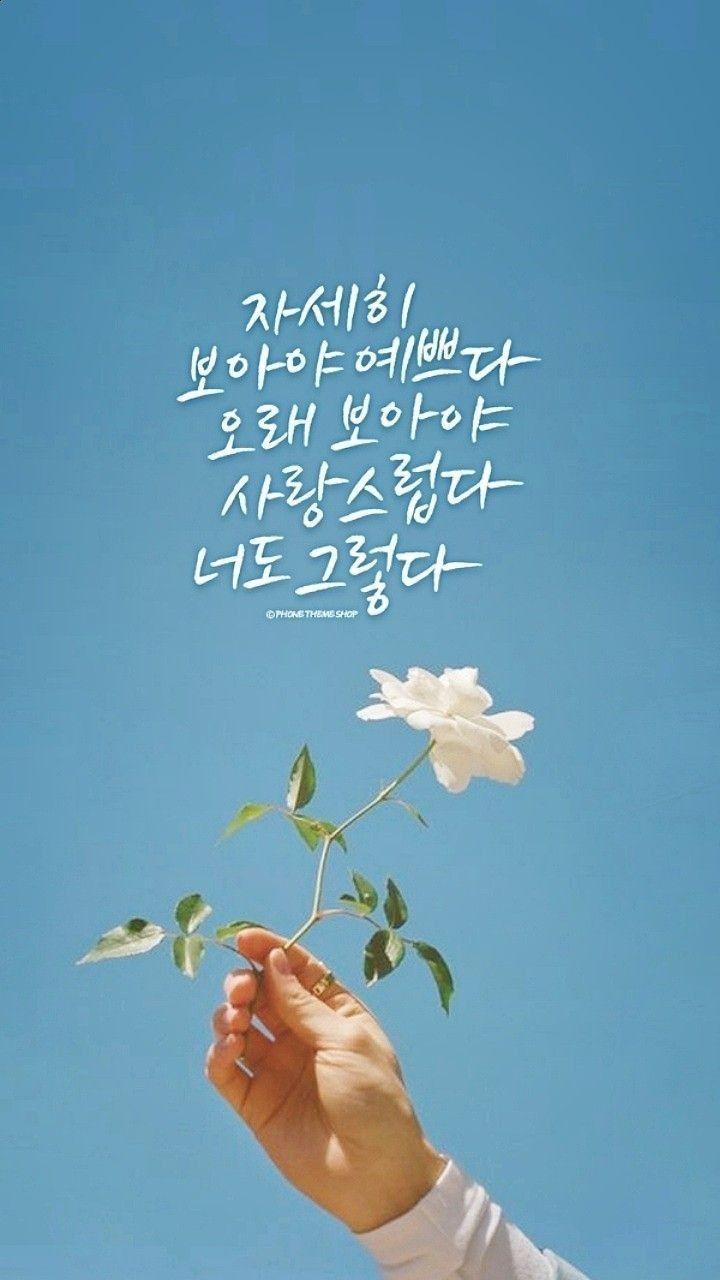 Aesthetic Korean wallpaper, blue sky, white rose, and a quote that says 
