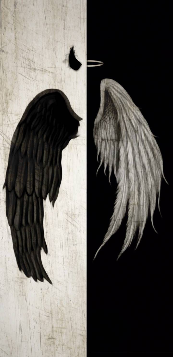 The image is split in half, with the left side showing a black wing and the right side showing a white wing. - Wings