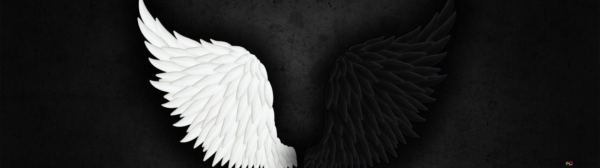 A pair of paper wings, one white and one black, against a black background. - Wings