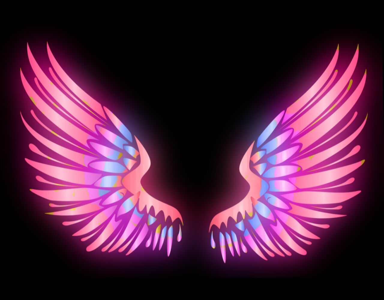A pair of pink wings on a black background - Wings