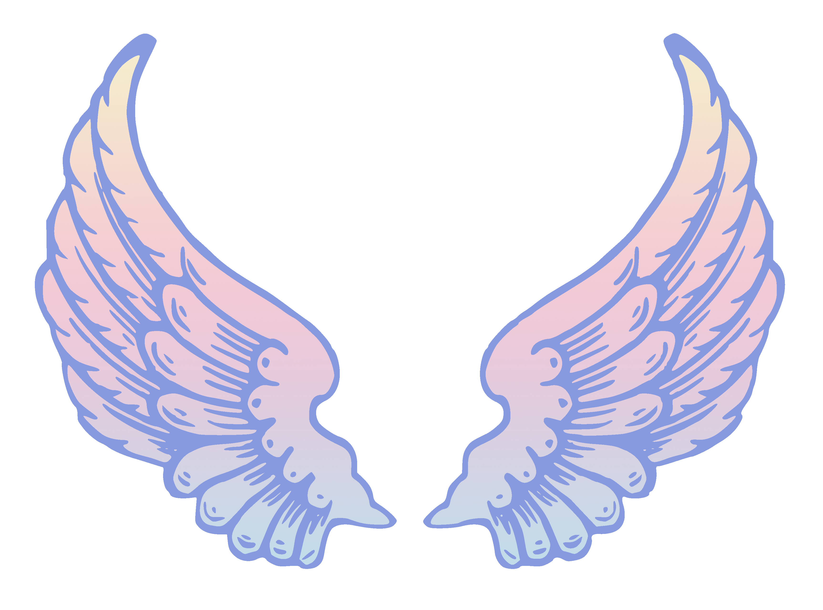 Two pink and blue wings - Wings