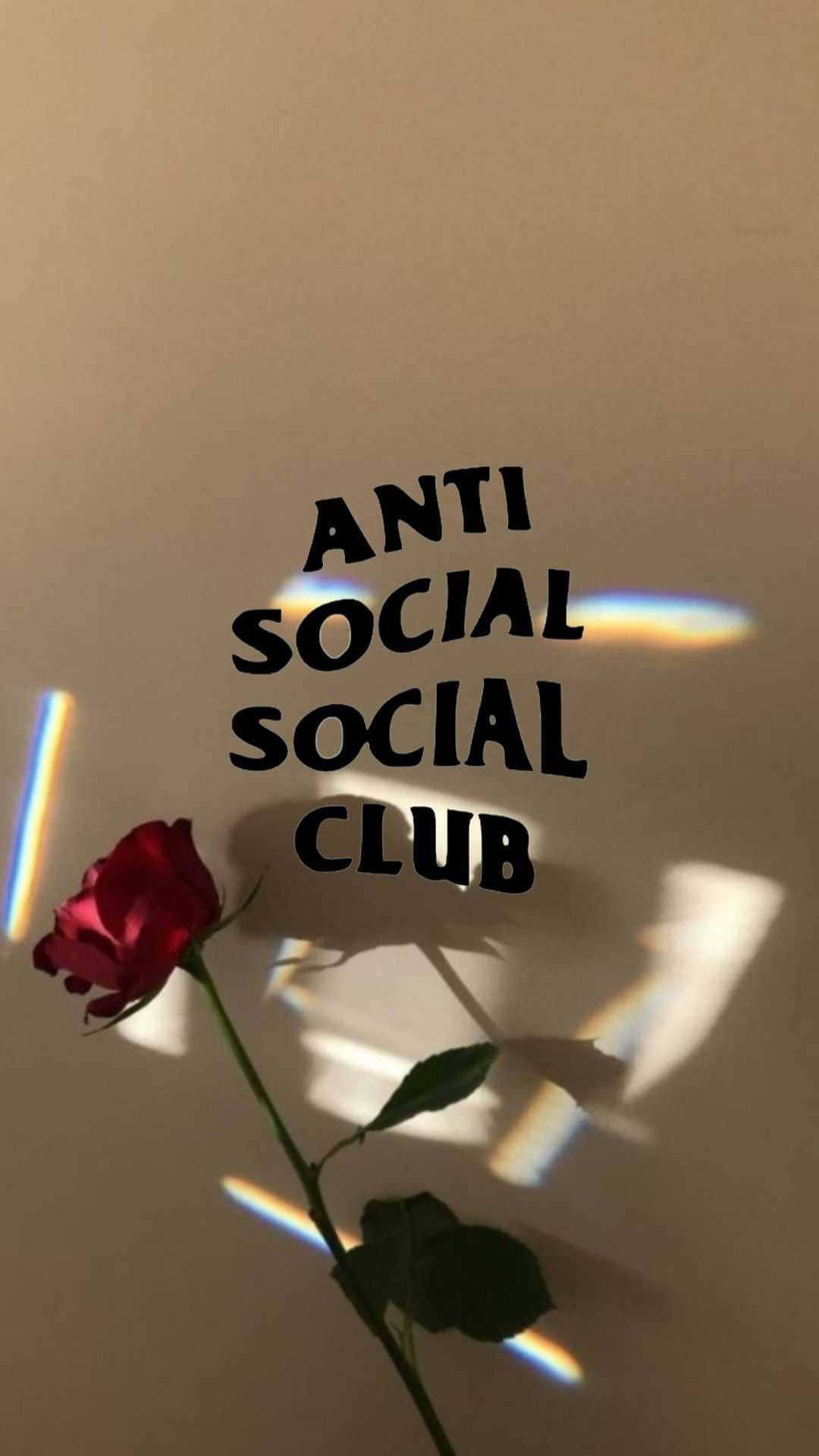 Download Red Rose And Anti Social Club iPhone Wallpaper