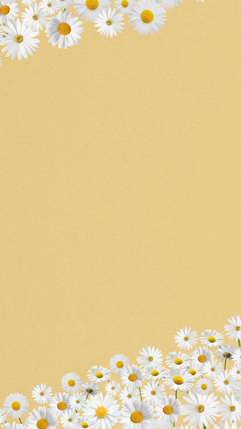 Yellow background with white daisies in the bottom - Border