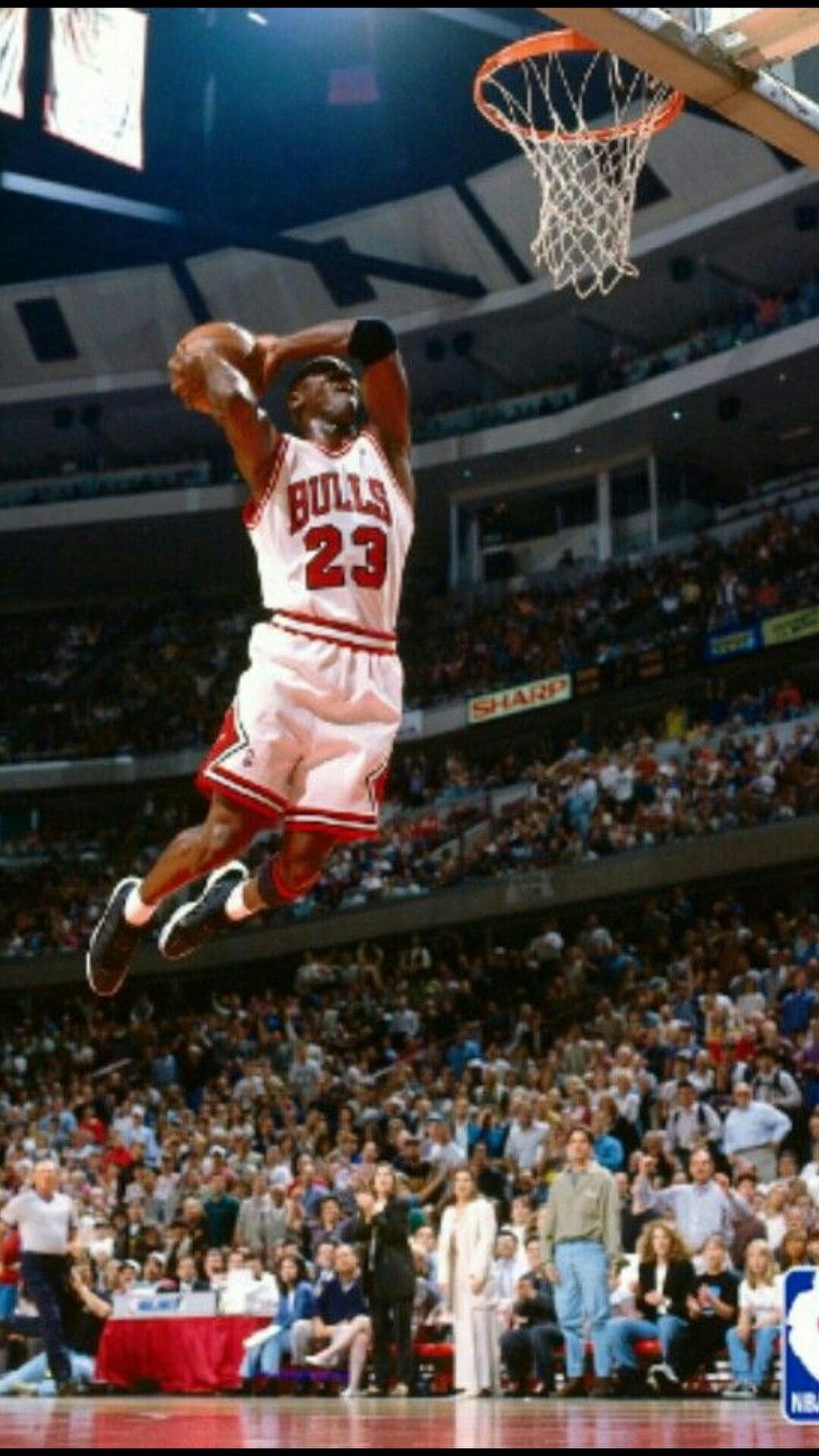 Air Jordan, Michael Jordan