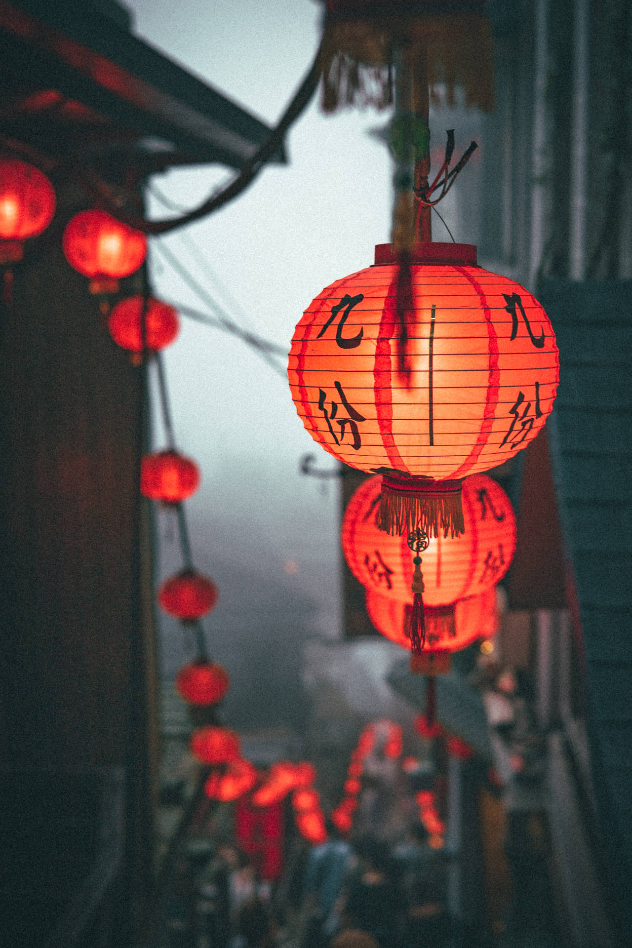 Download Orange Chinese Lanterns Wallpaper
