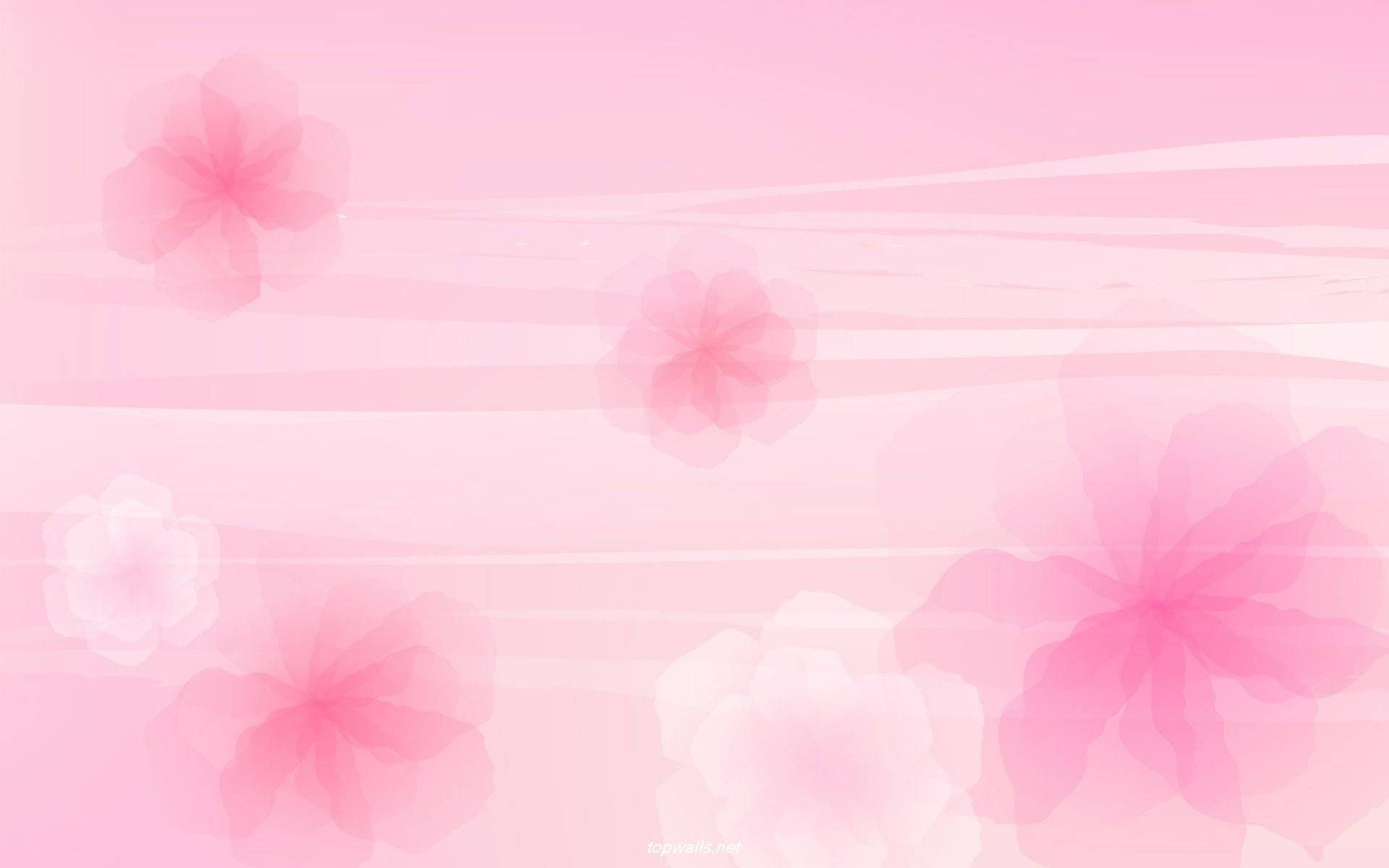 Download Floral Aesthetic Background Design Wallpaper