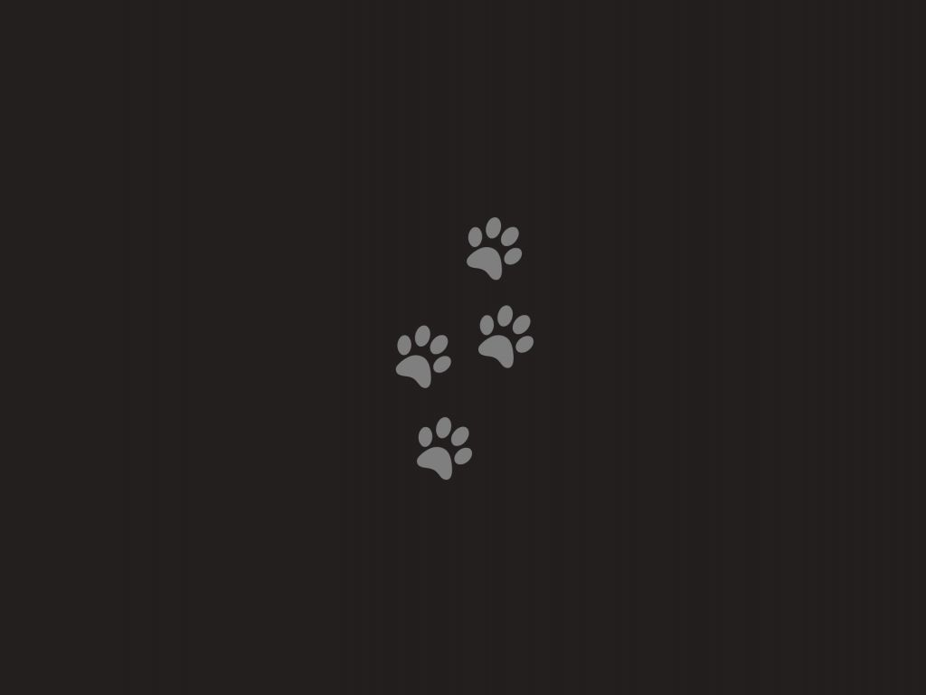 A black background with four paw prints in the middle - Dog