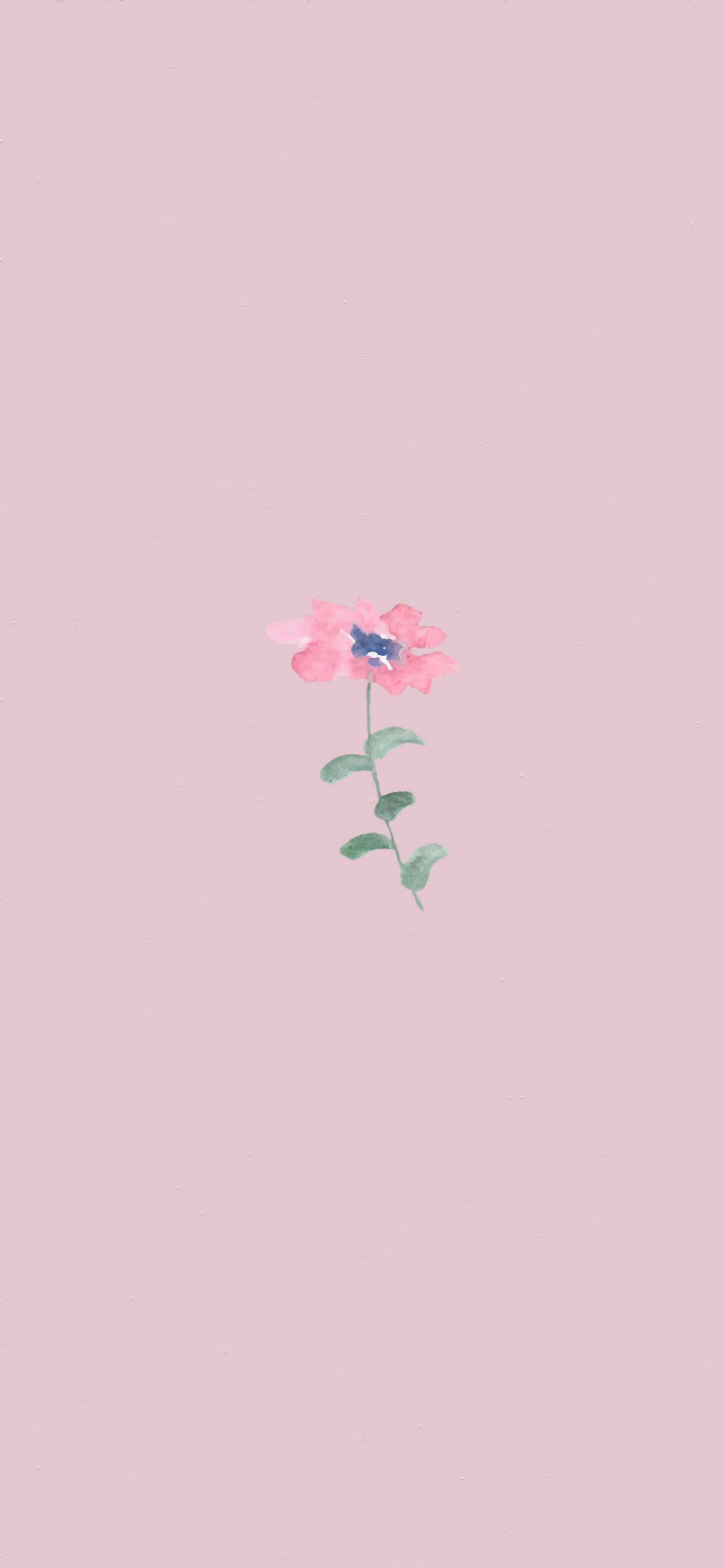 Pink Aesthetic Picture : Pink Flower Wallpaper