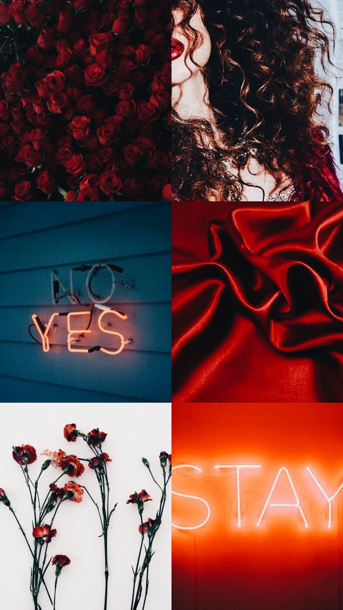 Aesthetic collage of red roses, a woman with curly hair, a red neon sign that says 