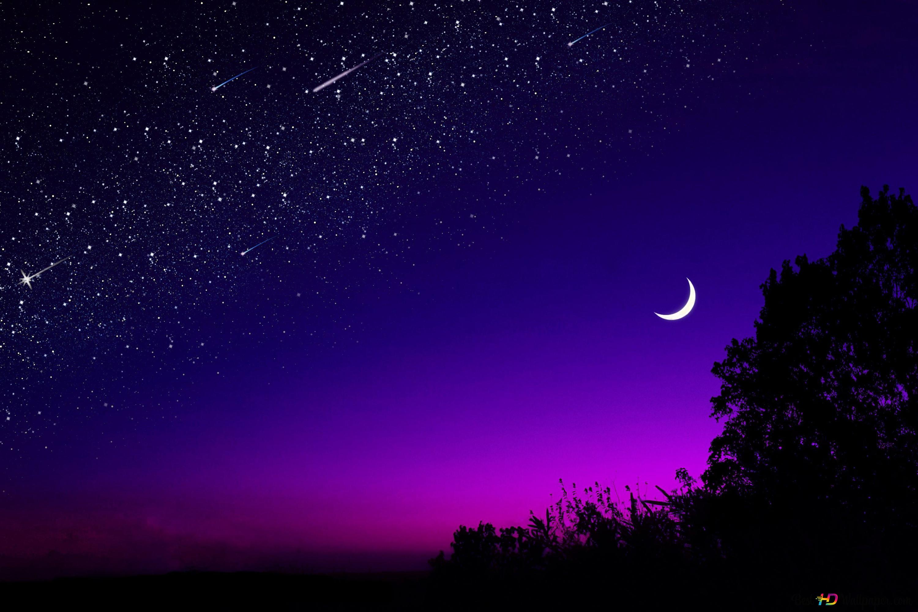 Tree silhouette in starry night moonlight 4K wallpaper download
