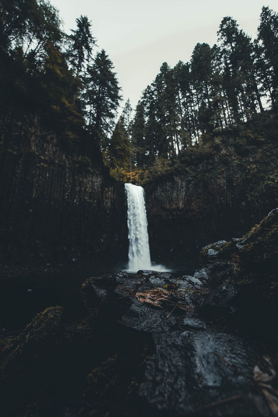 HD wallpaper: waterfalls near trees at daytime, waterfalls near forest under gray sky during daytime