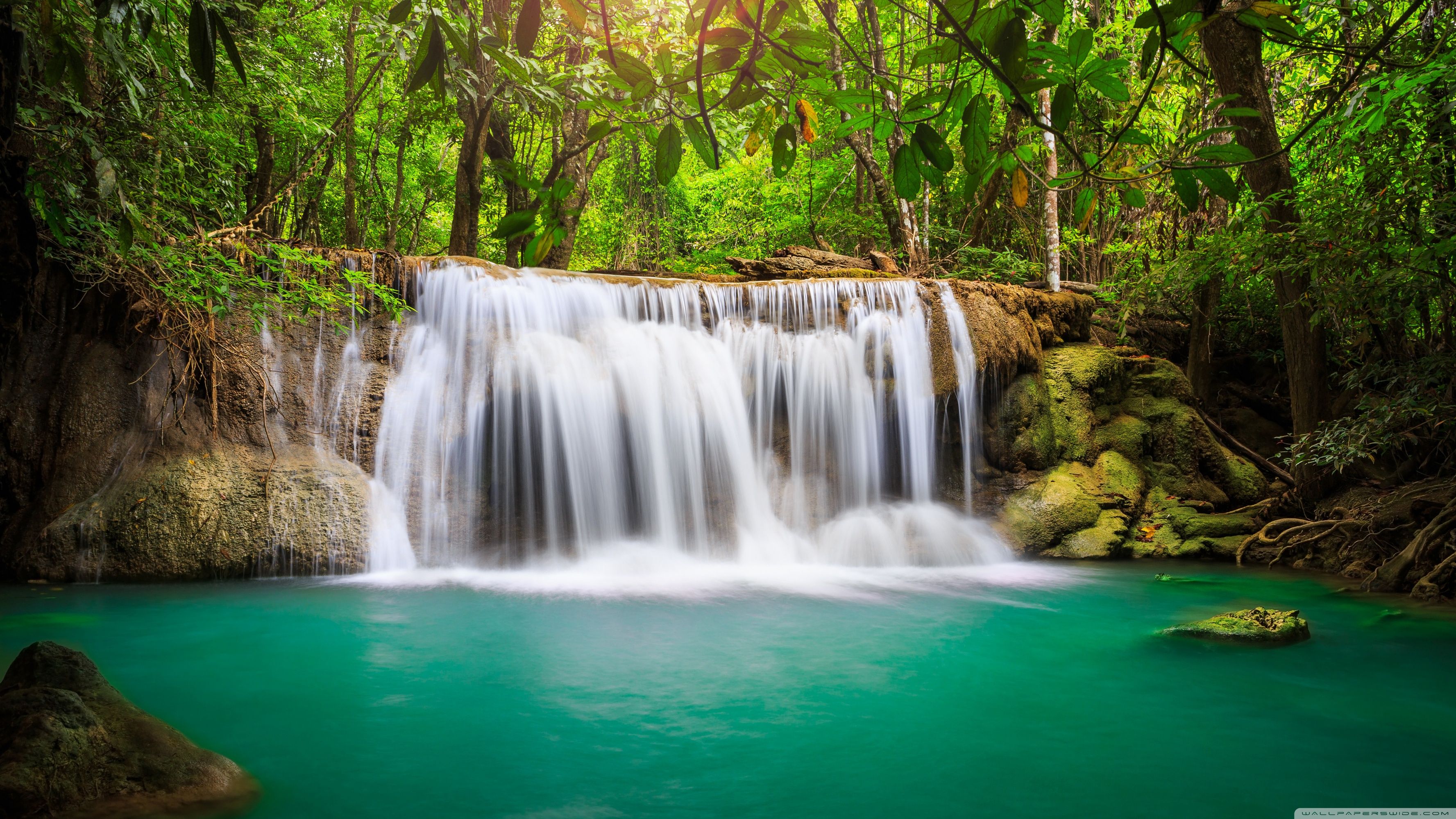 A waterfall in the middle of a lush green forest. - Waterfall