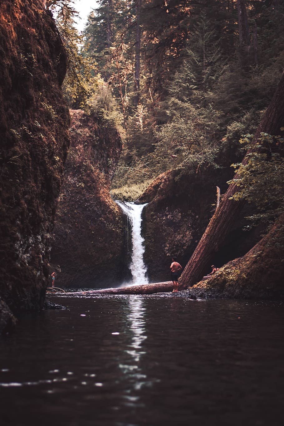 HD wallpaper: united states, punch bowl falls, water, lake, waterfall, swimming