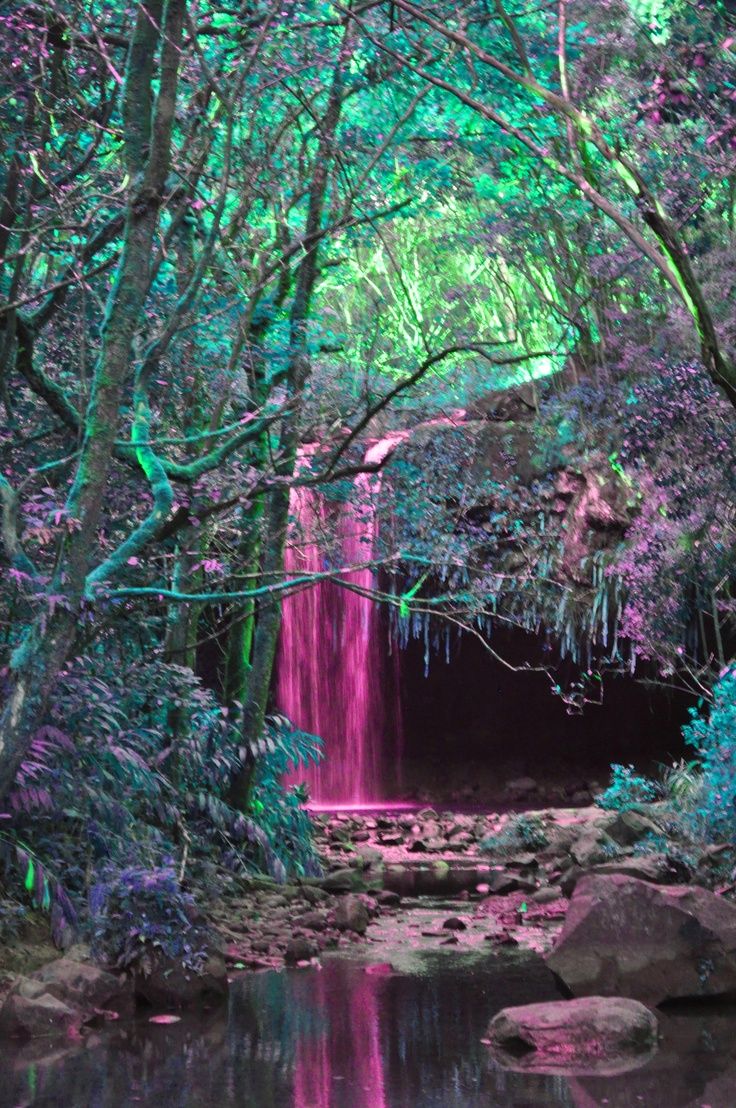 A waterfall in the middle of an enchanted forest - Waterfall