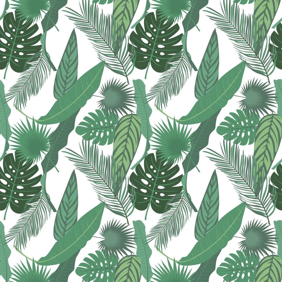 A seamless pattern with tropical leaves. - Jungle