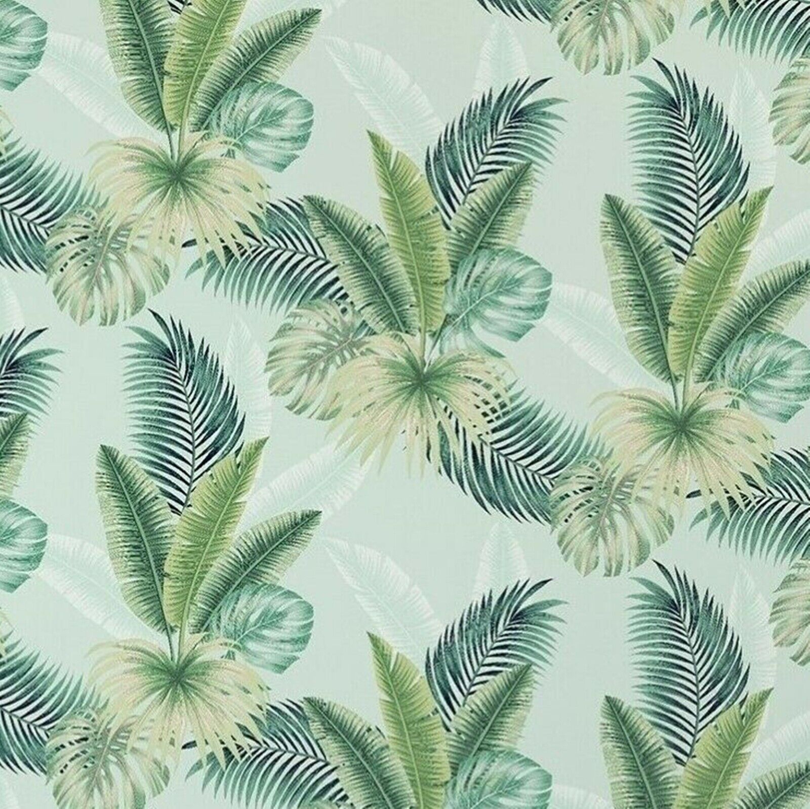 A tropical palm wallpaper with a blue background - Light green, soft green