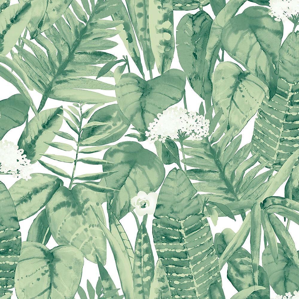 A green and white tropical leaf wallpaper - Jungle