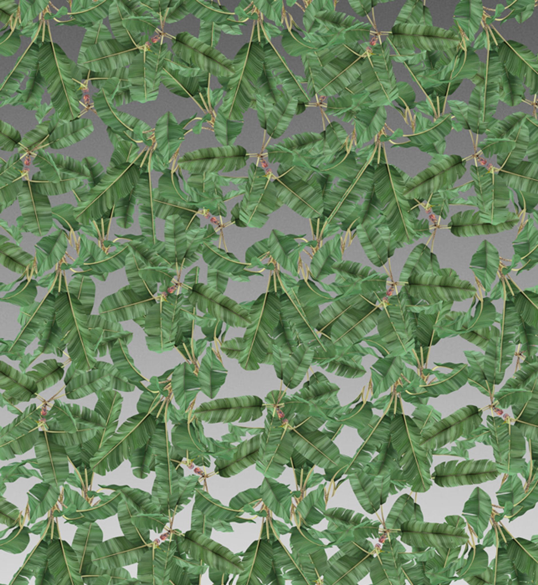 A wallpaper featuring a pattern of banana leaves - Jungle