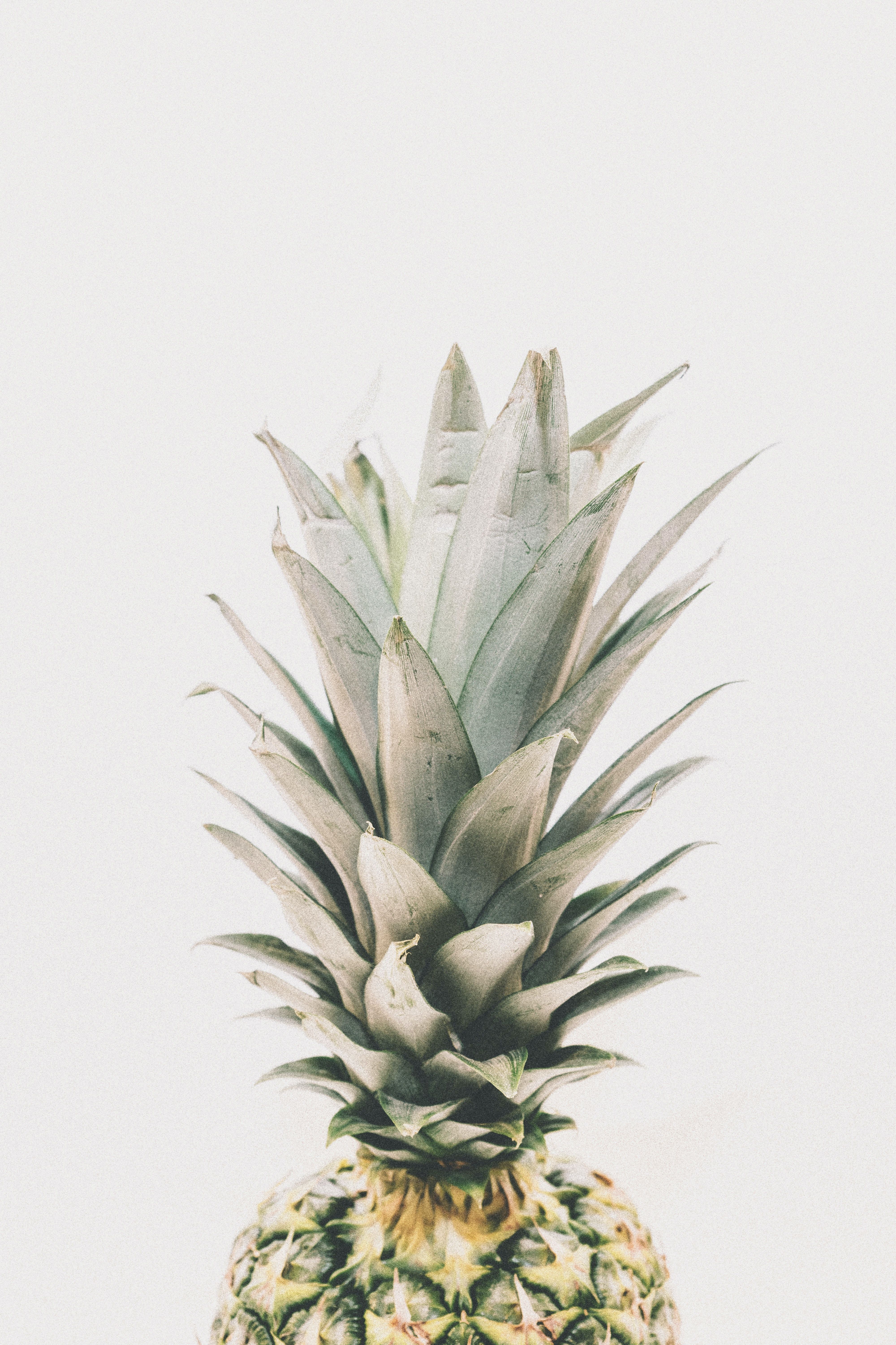 A pineapple against a white background - Pineapple