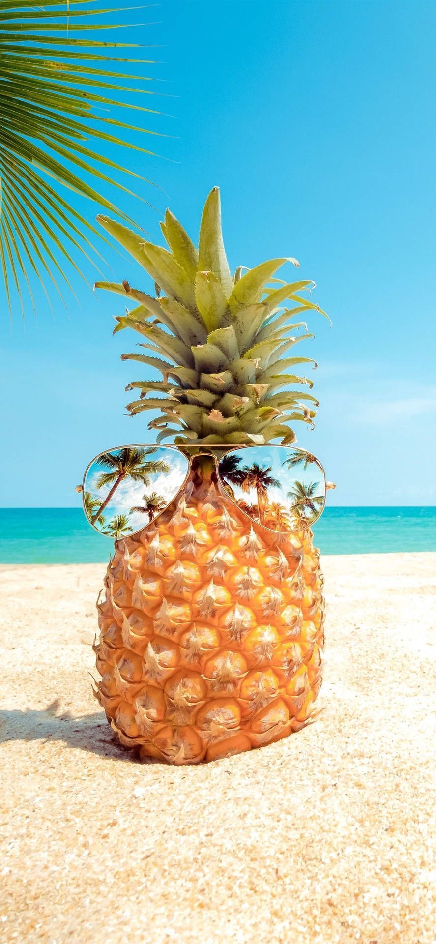 A pineapple on the beach wearing sunglasses. - Pineapple