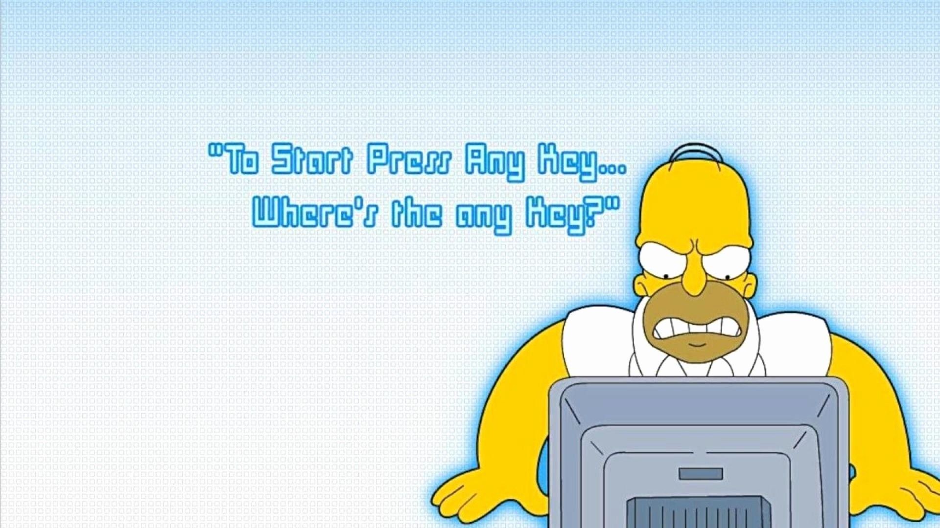 Homer Simpson on a computer asking 