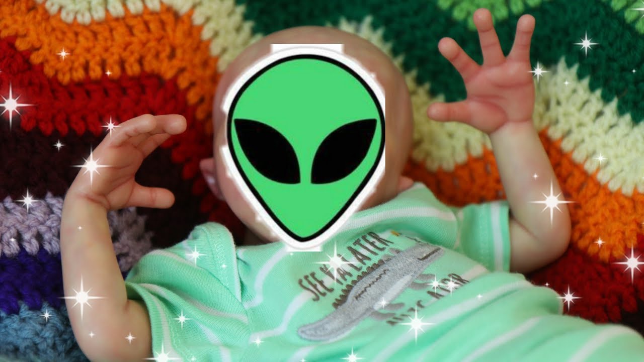 Meet My Alien Baby. ET Reborn Baby Just Born. What's Inside the Fun Bags