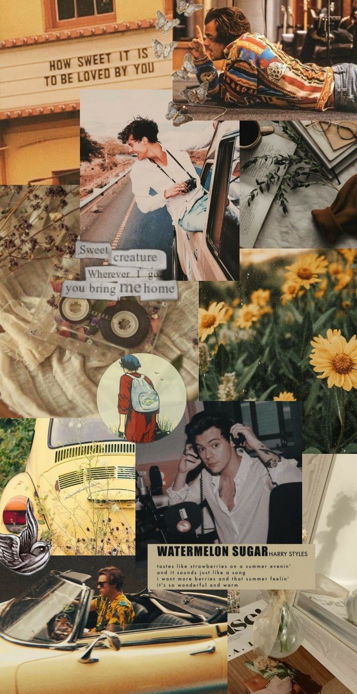 Collage of photos of Harry Styles, a car, and sunflowers - Harry Styles