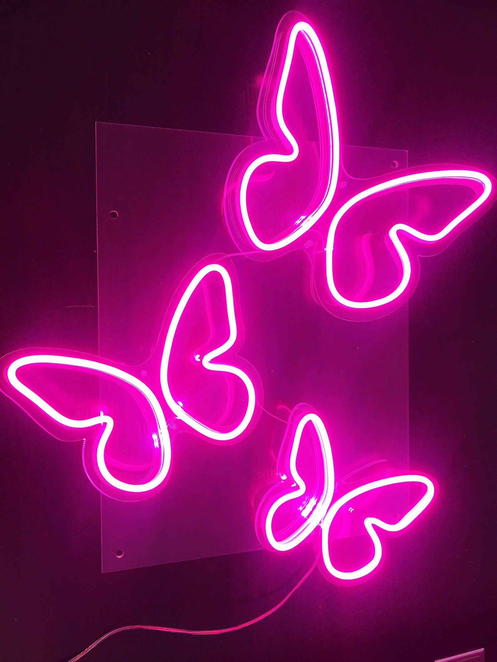 A neon light display of butterflies on the wall - Neon, neon pink, hot pink