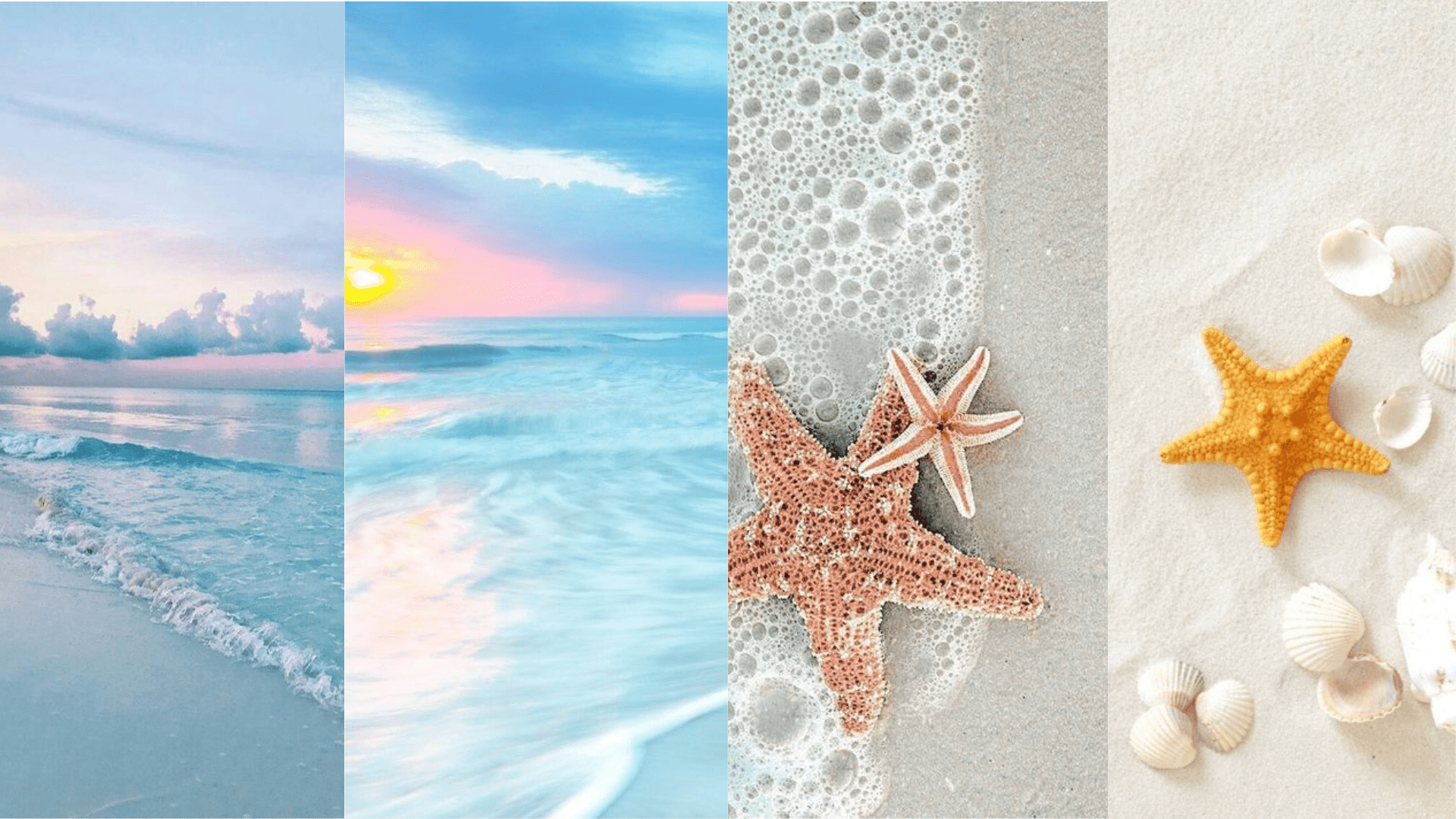 A collage of four different beach photos with a sunset, sea foam, starfish, and shells. - Teal, coast, starfish