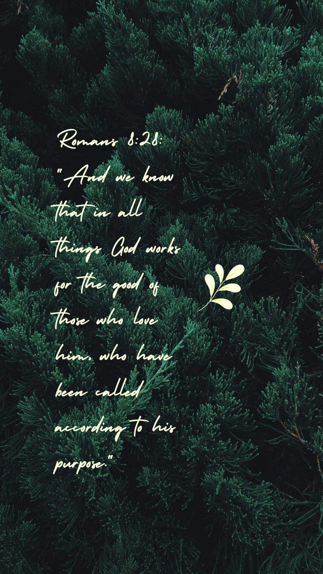 Bible verse wallpaper for mobile phone. Romans 8:28. And we know that in all things God works for the good of those who love him, who have been called according to his purpose. - Christian