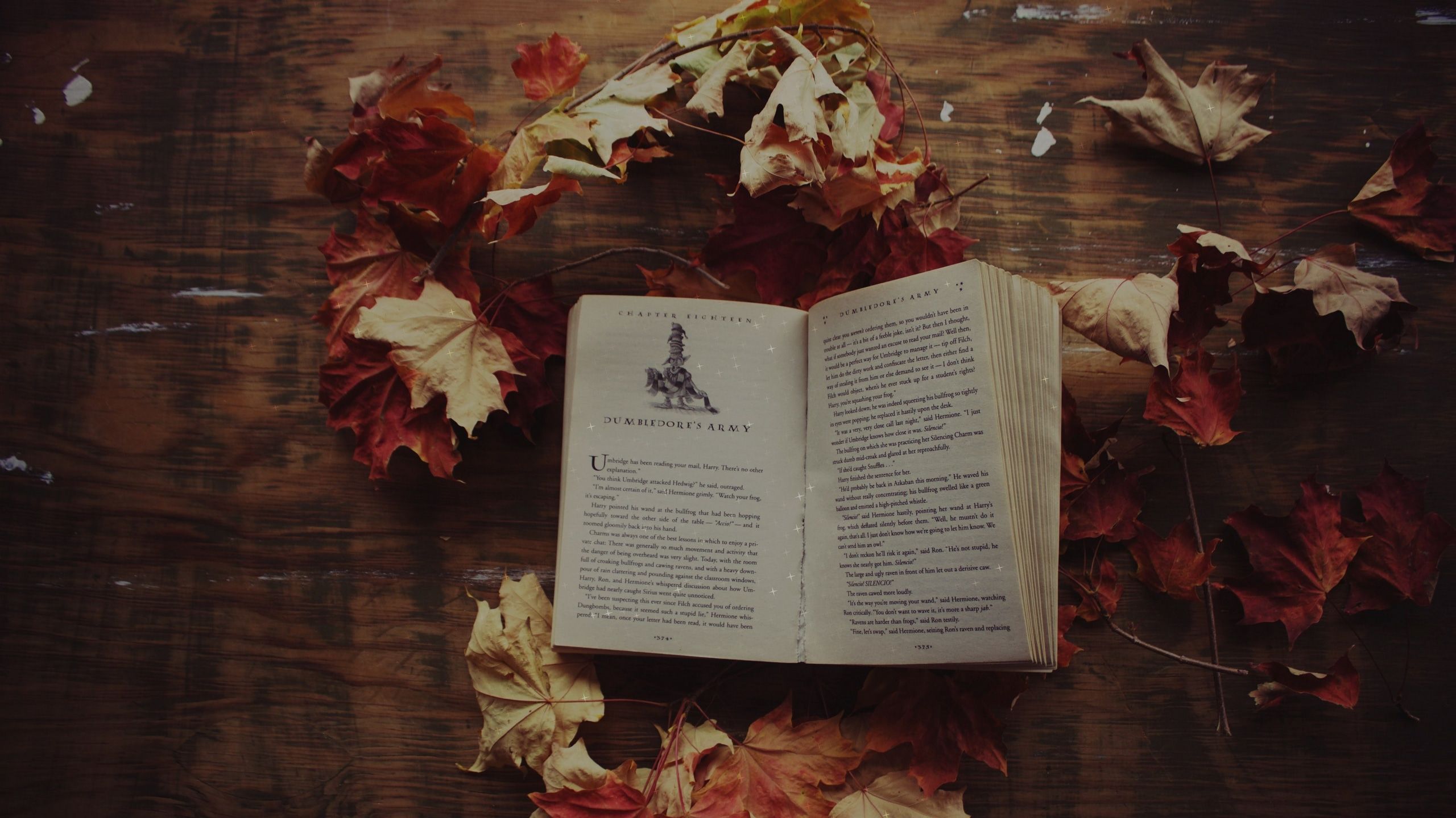 A book open on a wooden table with autumn leaves - Harry Potter