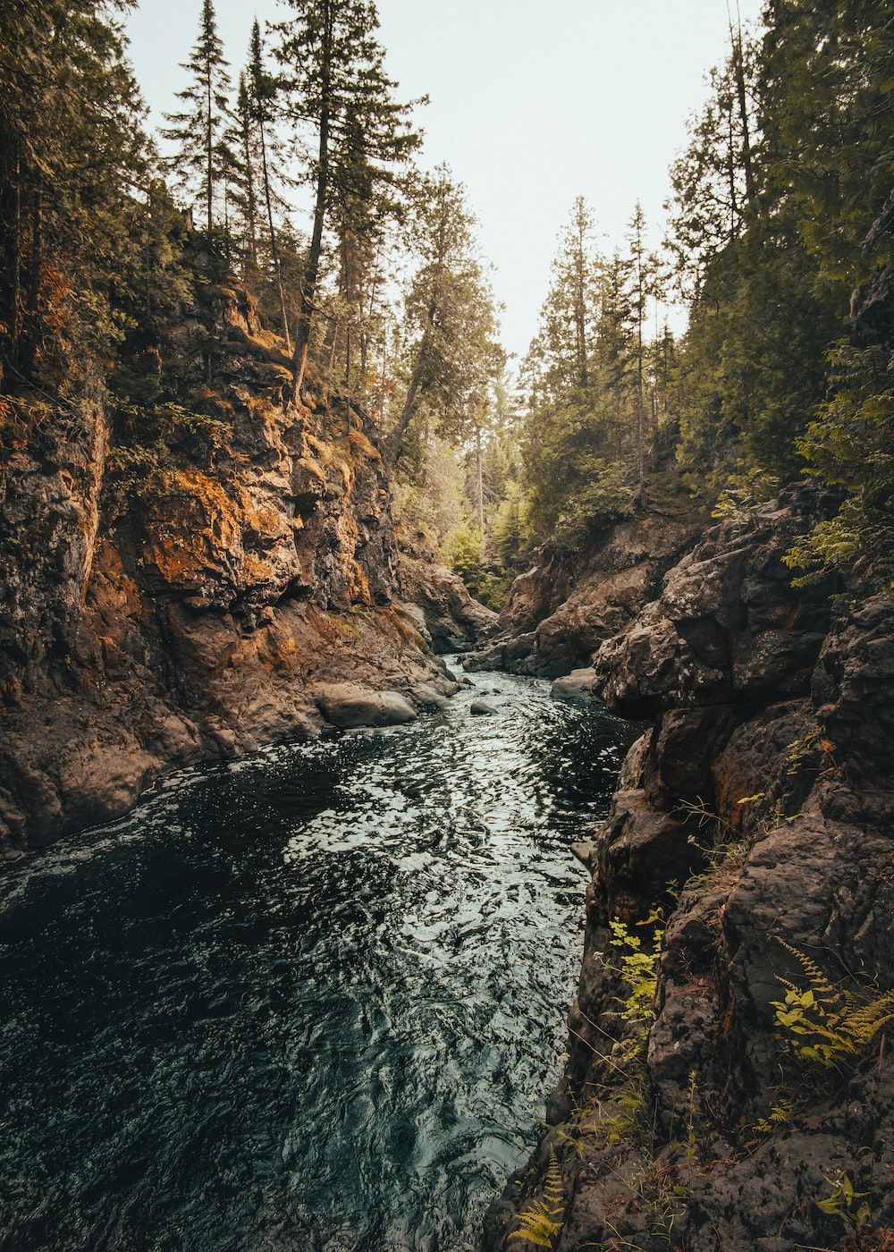 Green river between trees and rock formations photo