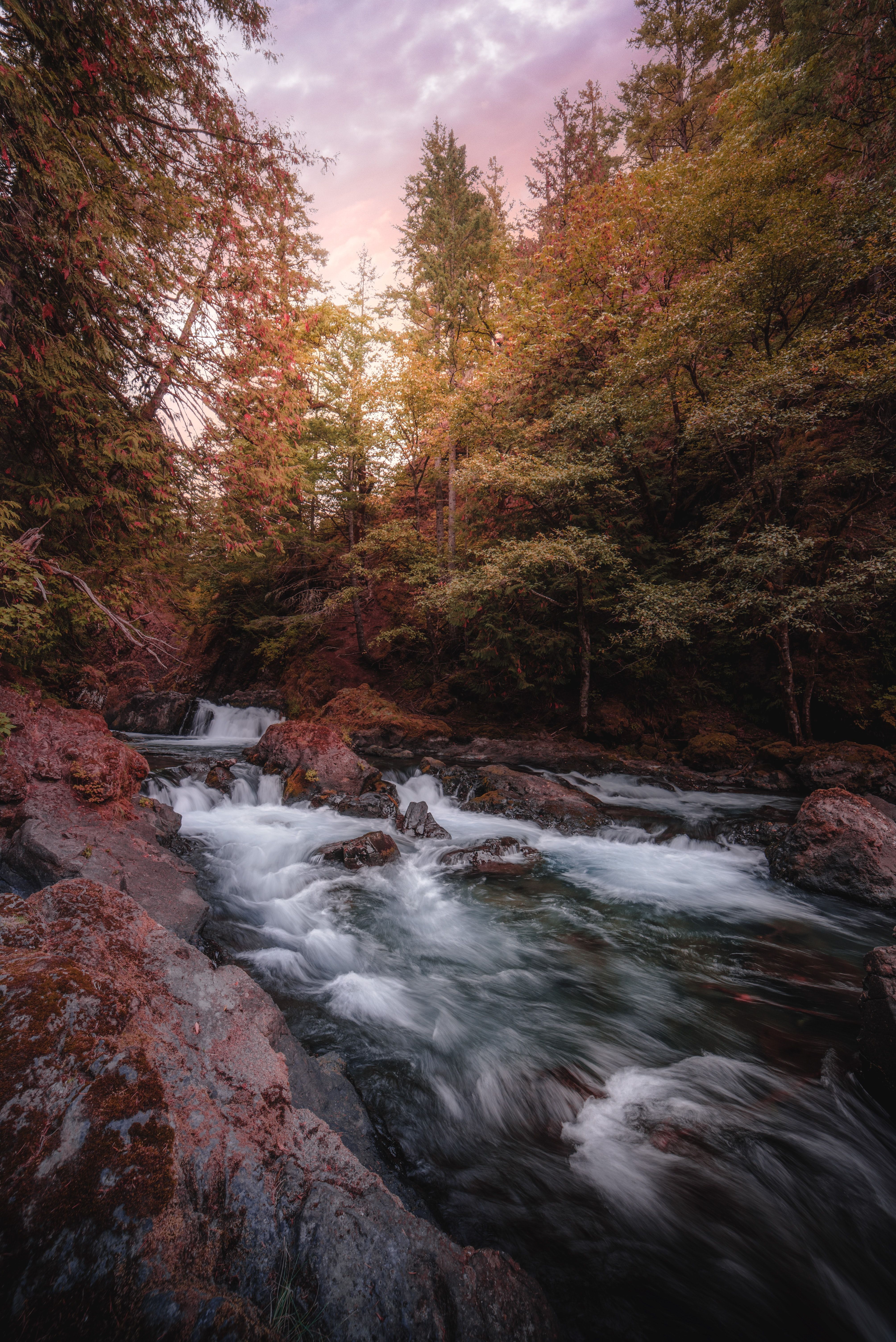 Mobile wallpaper: Brook, Rivers, Stones, Creek, Water, Nature, Trees, 97213 download the picture for free